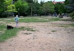 Von Grün zu Braun: Aus dem All erkennt man die Austrocknung Wiener Parks