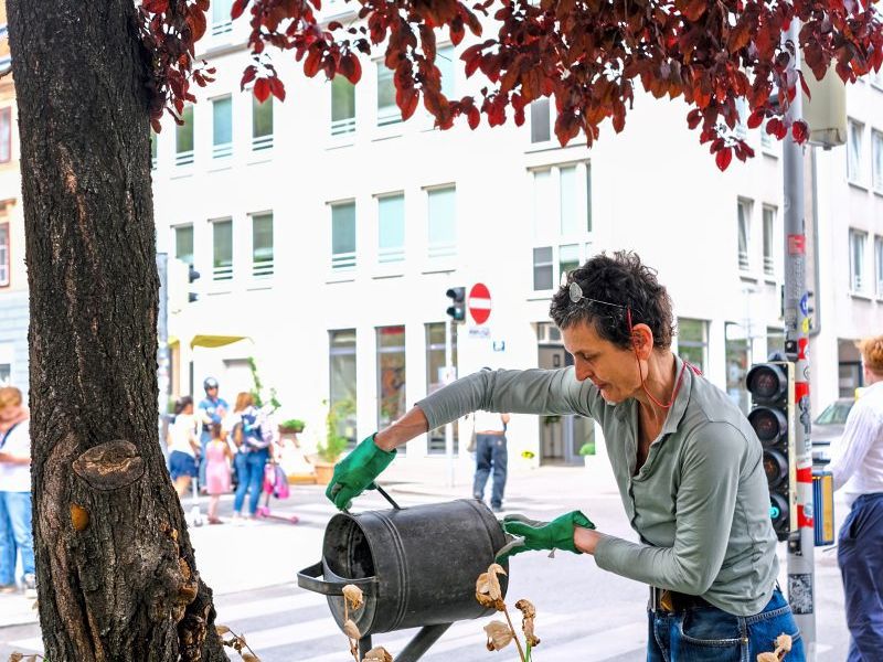 Wien lässt sich pflanzen: Garteln im öffentlichen Raum