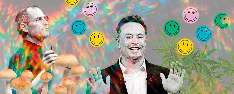 Steve Jobs und Elon Musk mit Pilzen und Marijuana