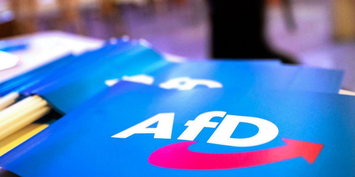Federal Office for the Protection of the Constitution postpones new AfD ...