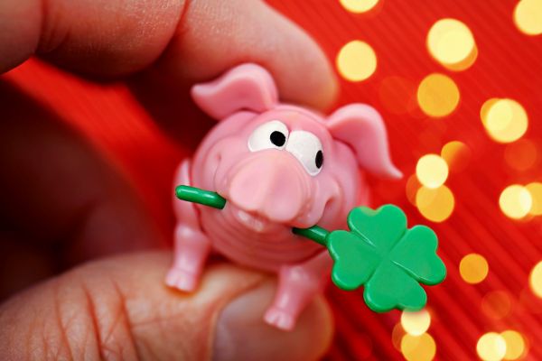 Die-STANDARD-Redaktion-w-nscht-Ihnen-ein-gutes-neues-Jahr-