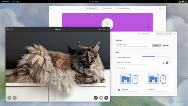 Fedora-38-ist-da-Vorbote-gro-er-nderungen-f-r-das-Linux-System
