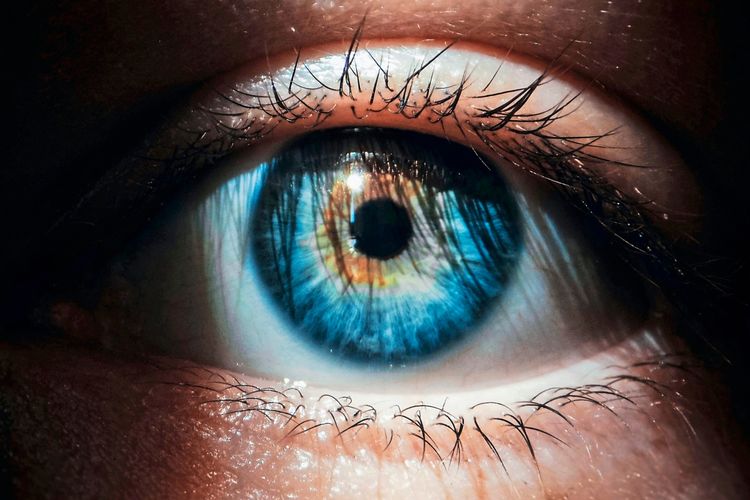 Nahaufnahme eines menschlichen Auges mit einem auffällig mehrfarbigen Irismuster in Blau- und Brauntönen. Die Details der Haut und Wimpern sind deutlich sichtbar.