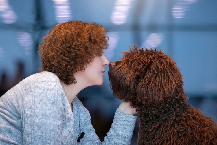 Kögler Die-Cast Renn-Auto Mit Hund – Rückziehmotor, Licht & Sound, Für Kinder Ab 3