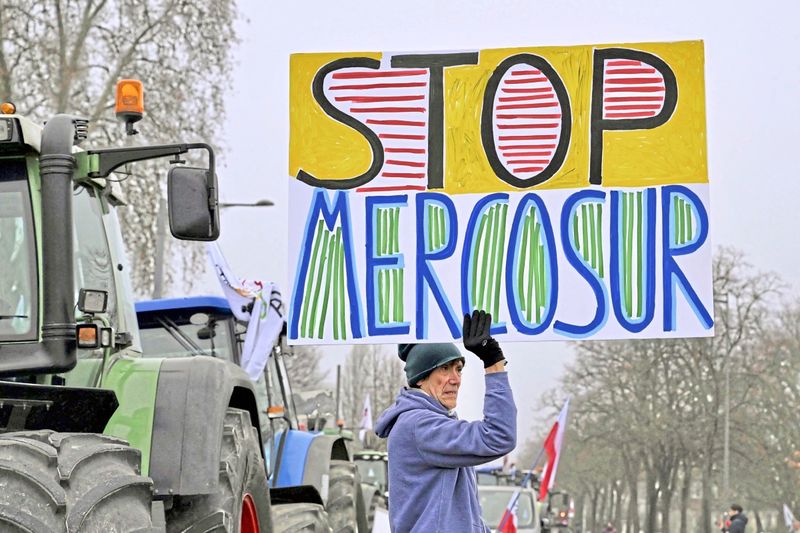 Insider: EU-Mercosur-Abkommen tritt wahrscheinlich im März vorläufig in Kraft