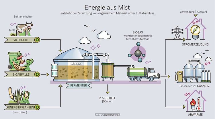 Grafik zu Biogas