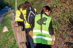 Eskorte vom Parkplatz: Die Krötenretterinnen von Neuwaldegg
