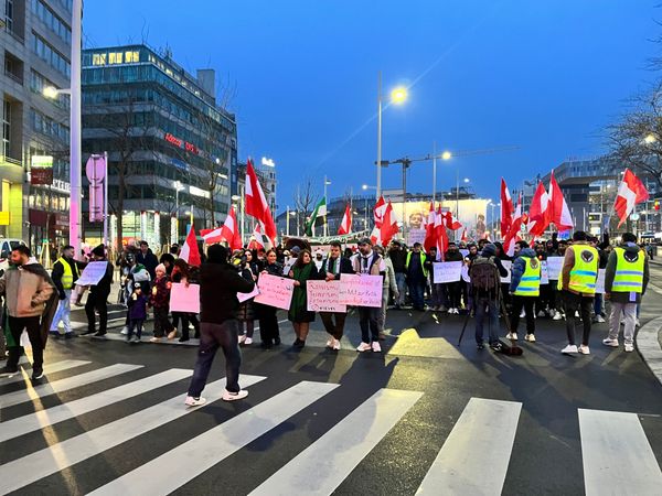 austrosyrer-demonstrieren-gegen-islamistischen-terror-und-rassismus