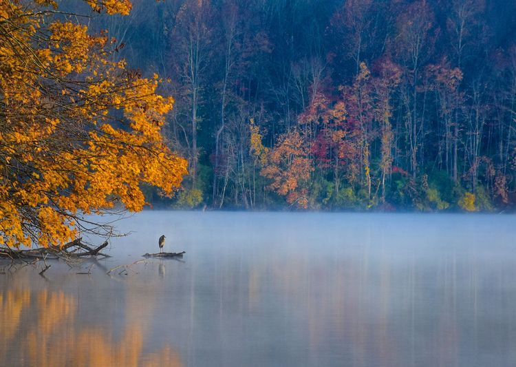 Eine weitere junge Fotografin , die 17-jährige Lilly Zhang, gewann den ersten Preis in der Kategorie Young TPOTY 15-18 Jahre mit einer tadellosen Serie zarter Landschaftsaufnahmen im Marsh Creek State Park in Pennsylvania, USA.