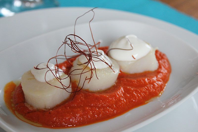 Rezept: Jakobsmuscheln auf Paprikasauce - Vorspeisen &amp; Suppen ...