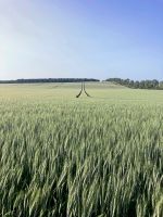 Anwesenheitsnotizen: "Mein Weinviertel liegt in einer orangen Flügelmappe" 6e189929 419c 457d 9ad3 fb719a82c7cc