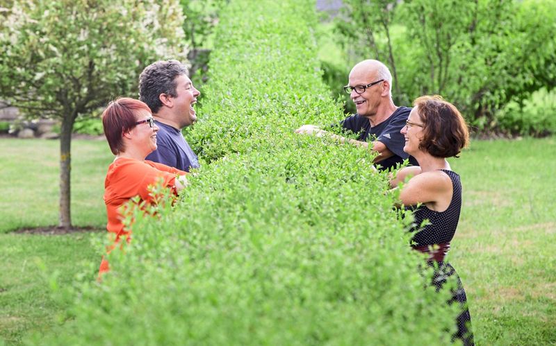 Prozess um tote Thujen und "das Grauen im Garten"