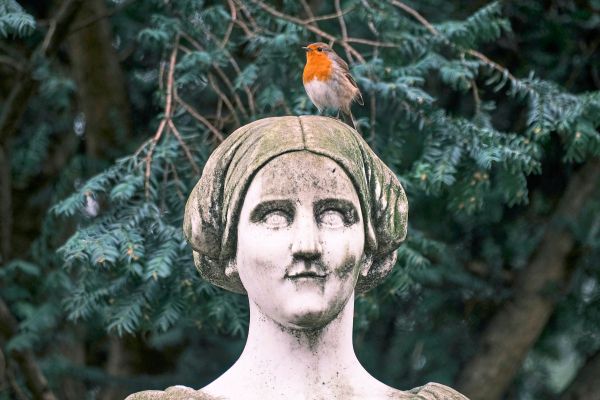 Ab-3-J-nner-d-rfen-Interessierte-in-sterreich-wieder-V-gel-z-hlen