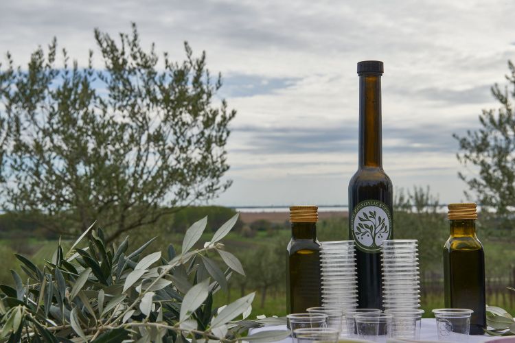 Drei Flaschen Olivenöl, dahinter Olivenbäume und dahinter der Neusiedler See.
