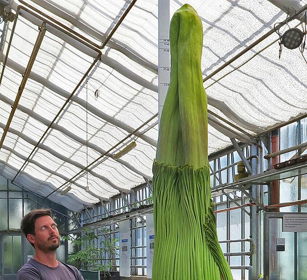 Foto: BGUW_B. Knickmann Foto: BGUW_B. Knickmann