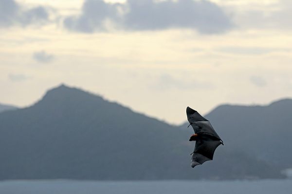 Foto: Juliette Irmer