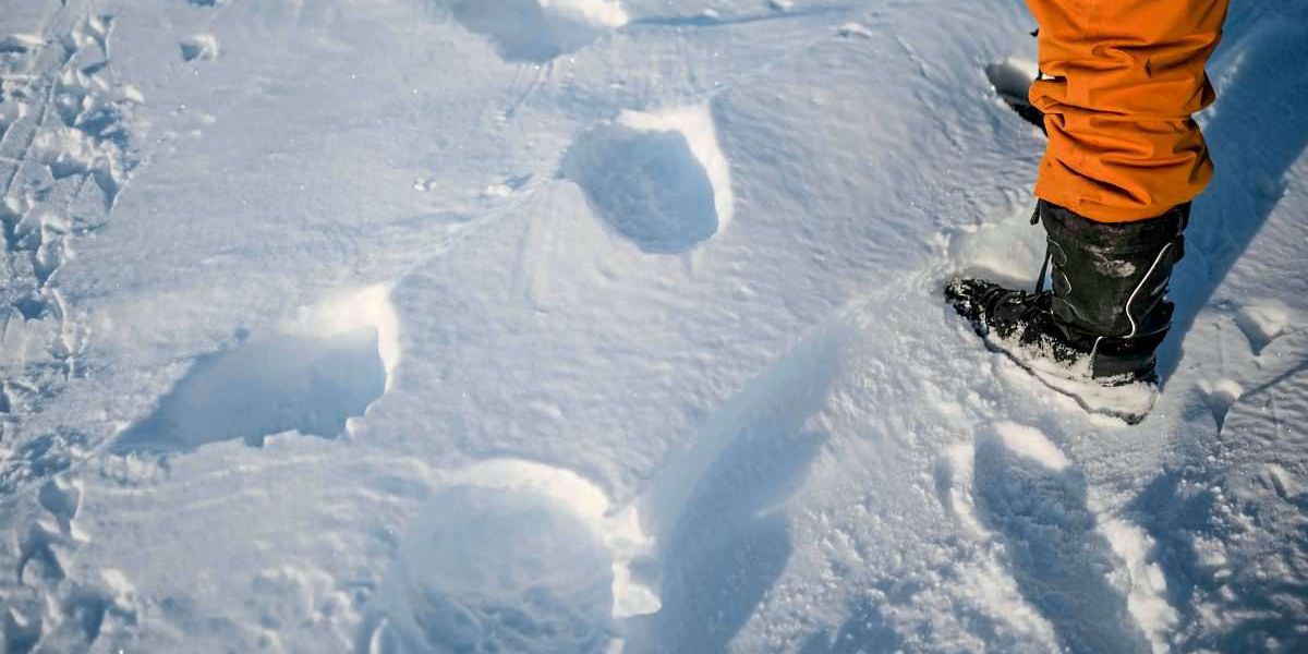 Haben Inuit-Sprachen wirklich mehr Begriffe für Schnee?