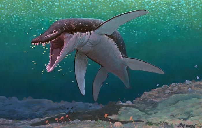 Illustration des Mega-Pliosauriers
