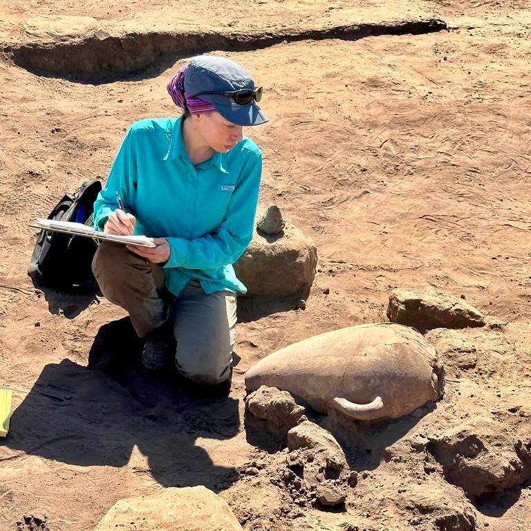 Vom Libanon nach Edfu: Amphoren als Zeugen früher Mittelmeerhandelsnetze