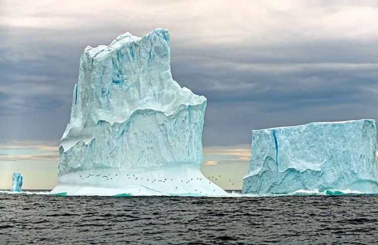 Eisberg mit Vögeln darauf treibt im Meer