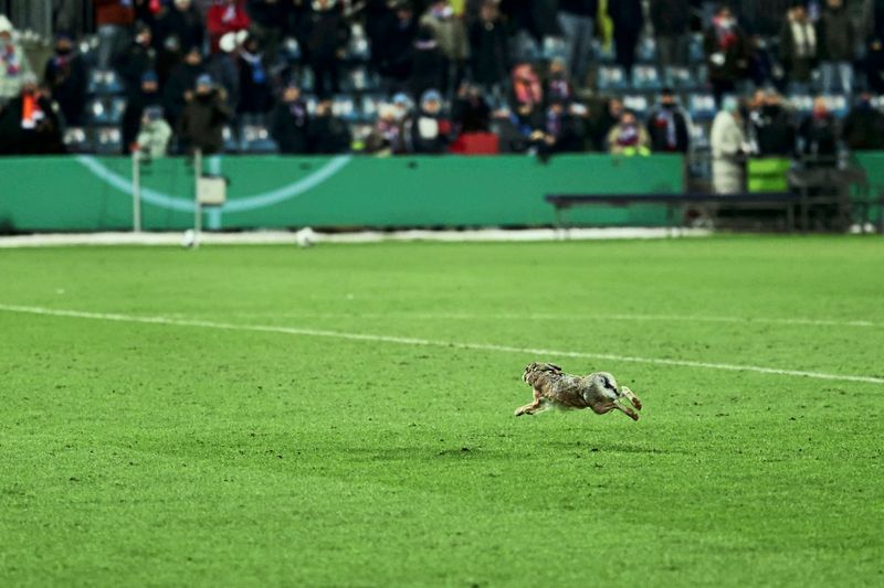 Pokalbewerbe: Stuttgart, ManCity und Inter eine Runde weiter