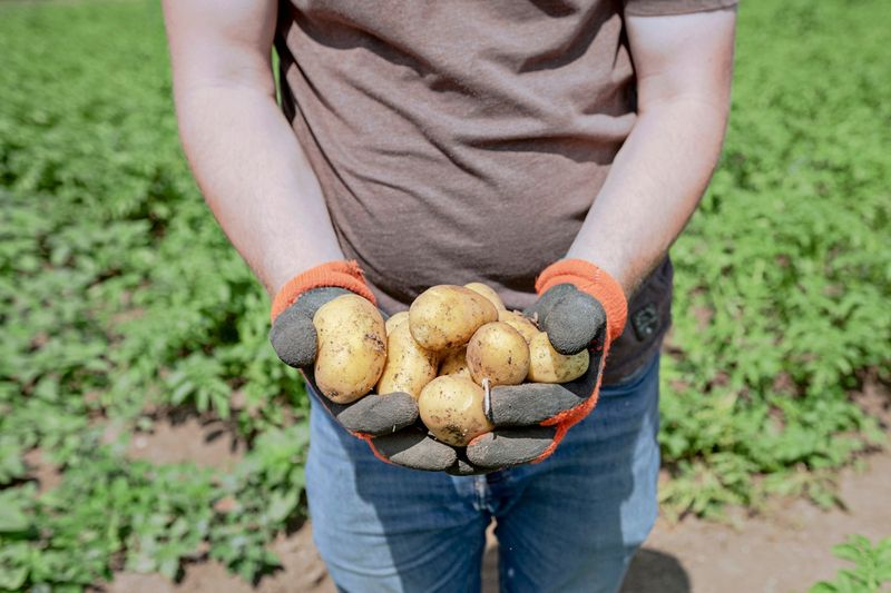 Nur vier von 100 Euro für Lebensmittel landen bei heimischen Bauern