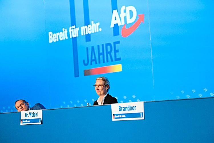 AfD-Chefin will Kanzlerkandidaten bei deutscher Bundestagswahl -  Deutschland -  › International