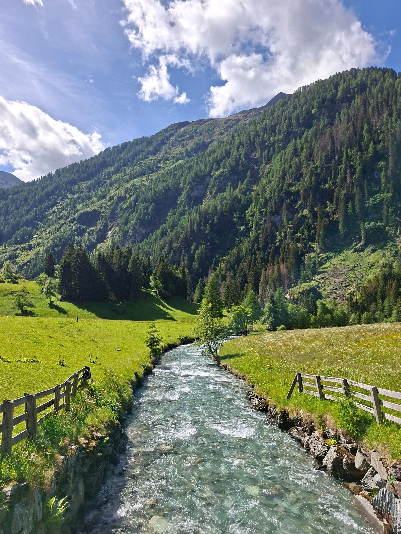 Ein Bach fließt durch eine grüne Alm, im Hintergrund sind bewaldete Hügel zu sehen.