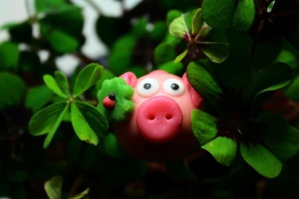 2025-Wie-war-es-f-r-euch-