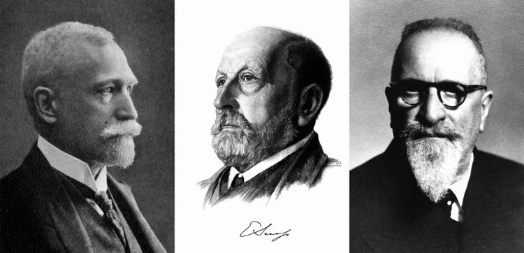 Portraits der drei Experten