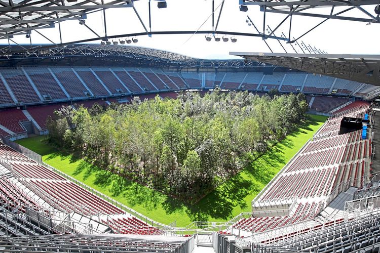 Das Klagenfurter Stadion 2019 während einer Kunst-Aktion, der Rasen ist voller Bäume