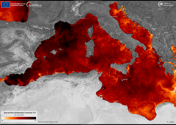 Hitzewelle-im-Mittelmeer-Wassertemperaturen-derzeit-auf-Rekordhoch