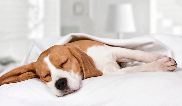 Herrlicher-Stillstand-die-Zeit-zwischen-den-Jahren-