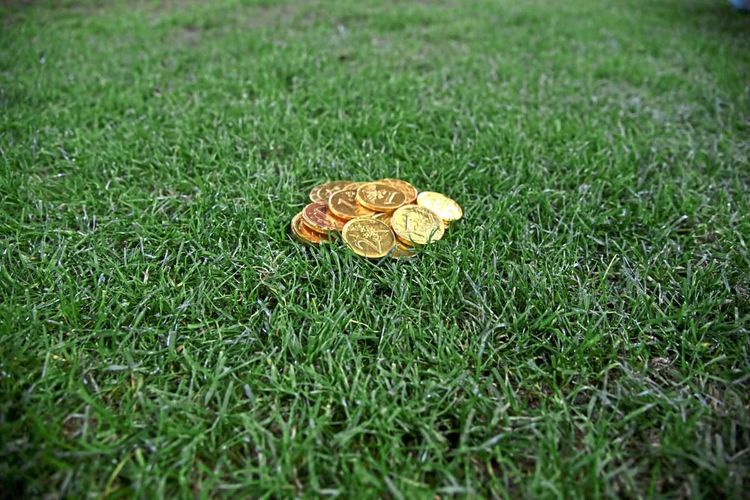 Schokoladenmünzen auf dem Rasen.