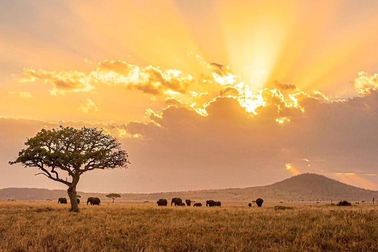 Landschaft in Afrika