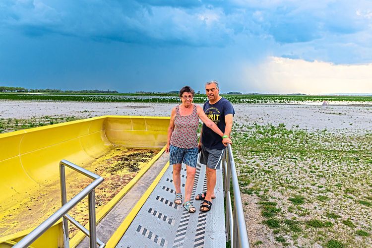 Seit 22 Jahren haben Brigitte und Ahmed ihren Teilzeitwohnsitz auf dem hiesigen  Dauercampingplatz, pendeln von Wien mit seinem Hochquellwasser an den Zicksee mit seiner Sandwüste. Gemütlich finden sie es hier nach wie vor.