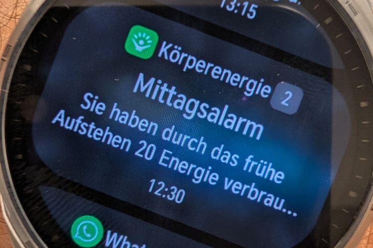 Eine Smartwatch warnt vor dem Verlust von 