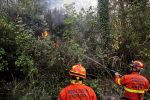 Waldbrand in der Toskana: Zwei Gärtner angezeigt, bisher 710 Hektar zerstört 7df6fcc9 c832 45ce 89fb b11d77efb2db