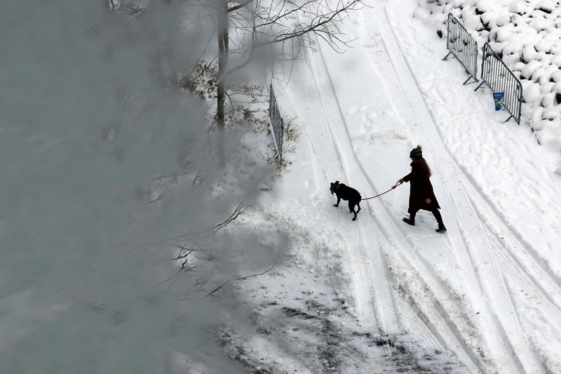 Hunderte Flüge wegen Wintersturm im Nordosten der USA gestrichen