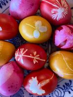 Pro & Kontra: Eierpecken