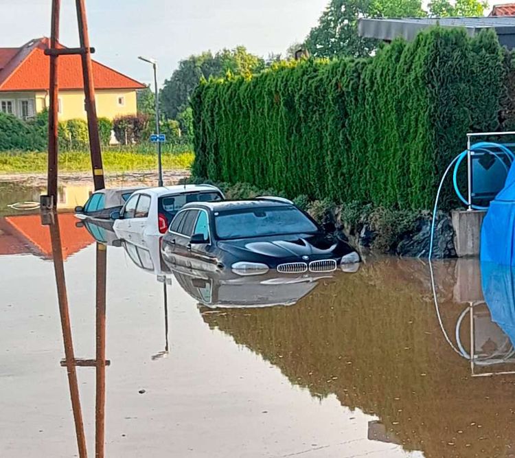 Autos stehen bis zur Motorhaube unter Wasser vor einer Hecke