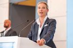 AfD fordert Spendengeld nach eingestellten Strohmann-Ermittlungen in Vorarlberg zurück