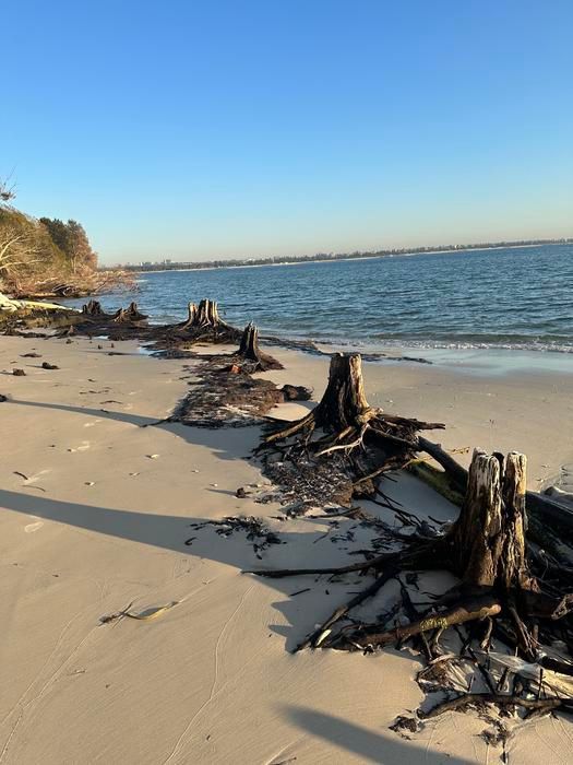 Feuchtland Erosion Strand Sydney Australien