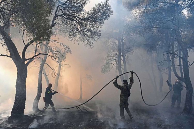 Feuerwehrleute mit Schlauch in einem ausgebrannten Wald löschen Glutnester