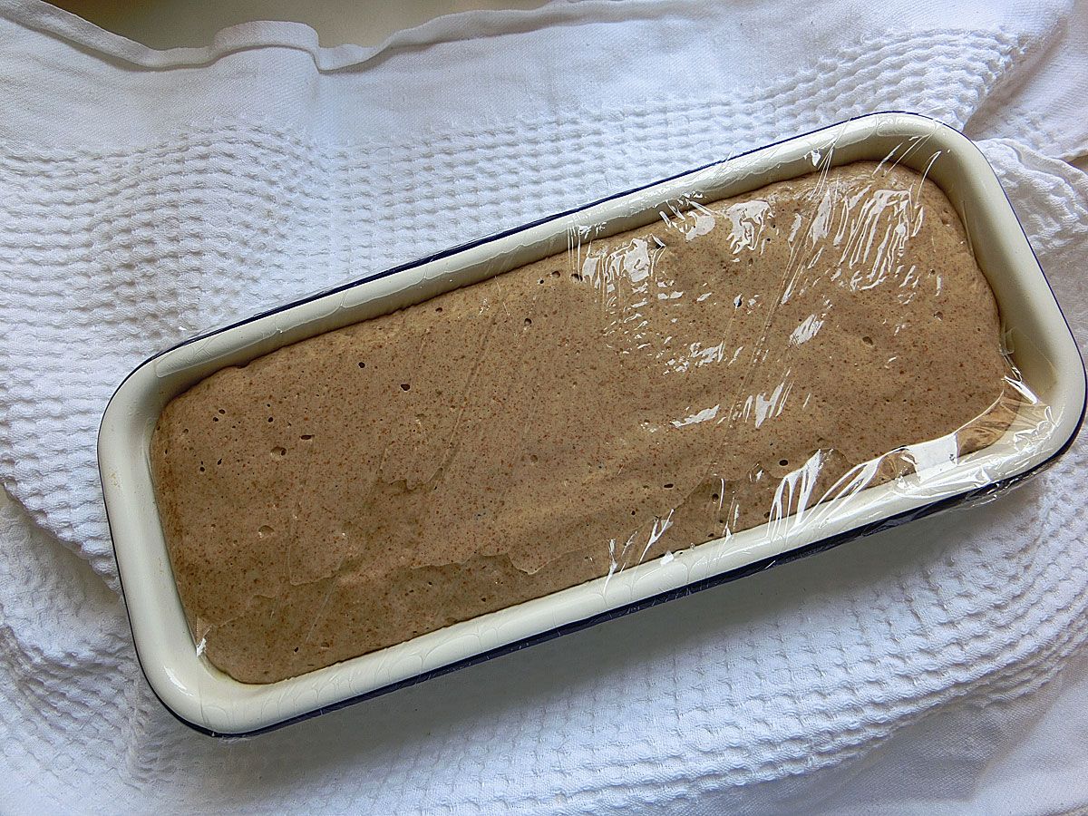 Rezept: Saftiges Waldstaude-Apfelmus-Roggenbrot - Backen - derStandard ...