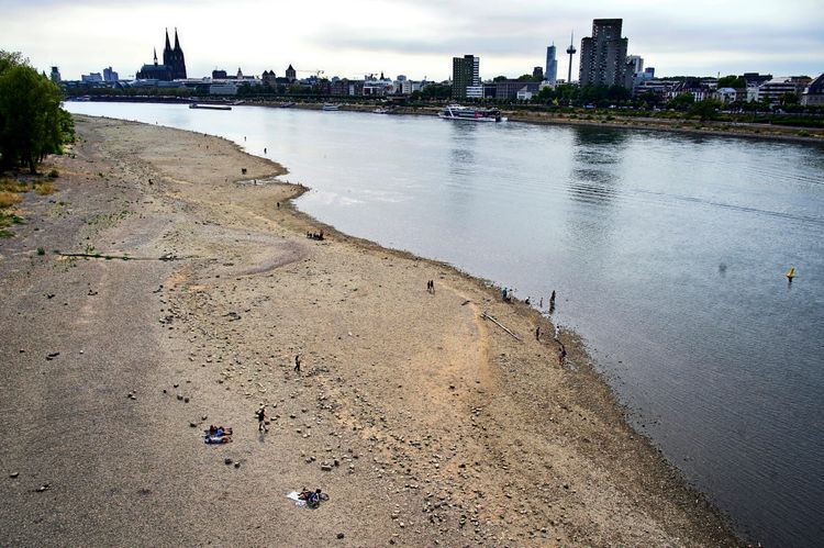 Eine Luftaufnahme des Rheins in Köln zeigt ein extrem niedriges Wasserlevel. Die Uferbereiche sind weitgehend trockengefallen, und der Flusslauf ist stark eingeengt. Im Hintergrund sind die Skyline von Köln sowie der Kölner Dom sichtbar. Einzelne Menschen nutzen das trockene Flussbett zum Verweilen.