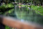 Gülle in Salzburger Almkanal: Badegäste leiden unter Magen-Darm-Erkrankung