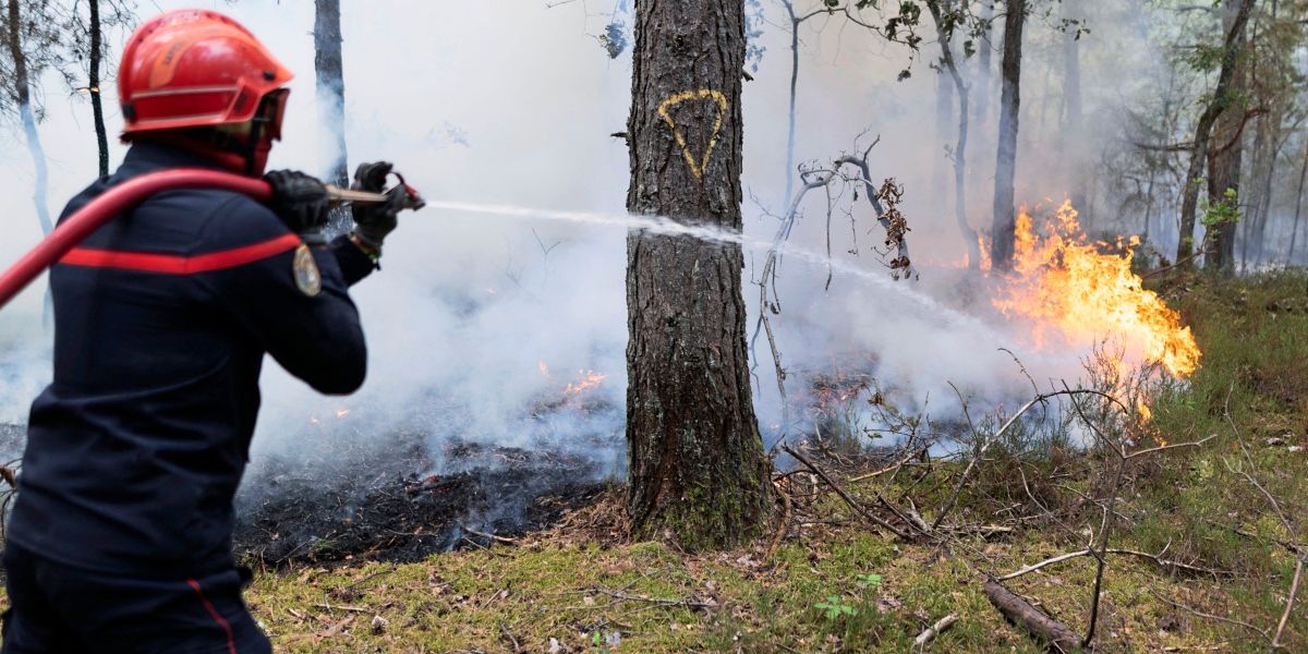 Forest fire south of Paris: Firefighter confesses to arson