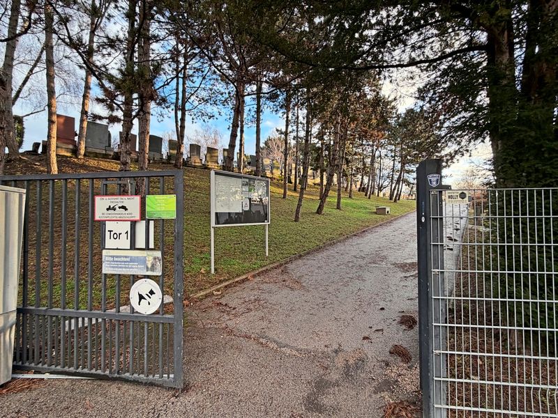 Frau auf Wiener Friedhof getötet: U-Haft über 14-Jährige verhängt