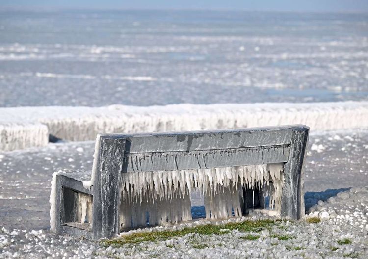 Eine gefrorene Bank am Neusiedlersee